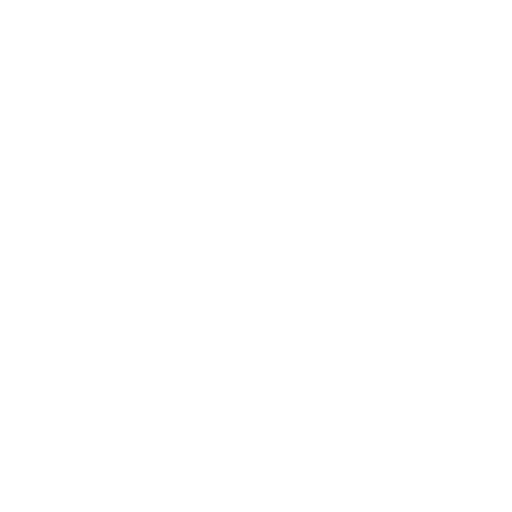3CS